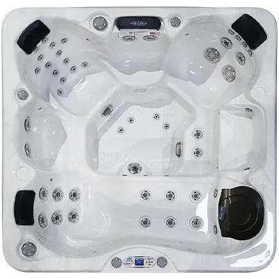 Avalon EC-849L hot tubs for sale in Oshkosh