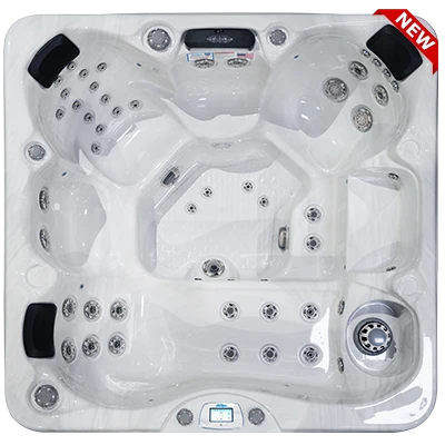 Avalon-X EC-849LX hot tubs for sale in Oshkosh