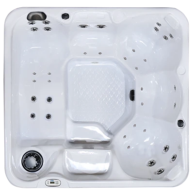 Hawaiian PZ-636L hot tubs for sale in Oshkosh